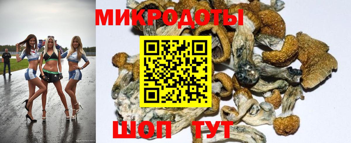 Псилоцибиновые грибы Psilocybine cubensis  магазин продажи наркотиков  Великий Новгород  Псилоцибиновые грибы Magic Shrooms 