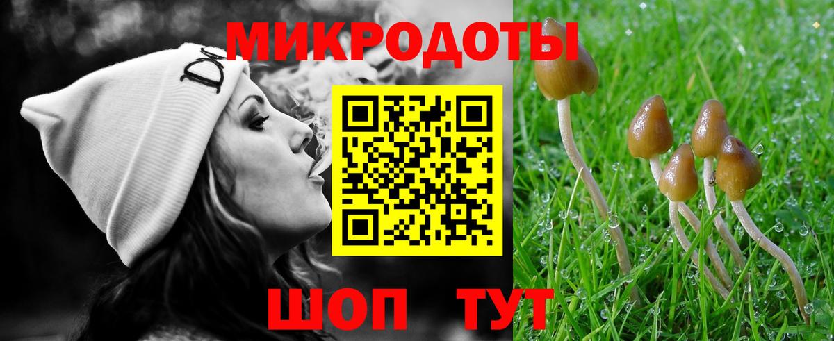 Галлюциногенные грибы Psilocybe  Вход с VPN  Галлюциногенные грибы Cubensis  Великий Новгород 