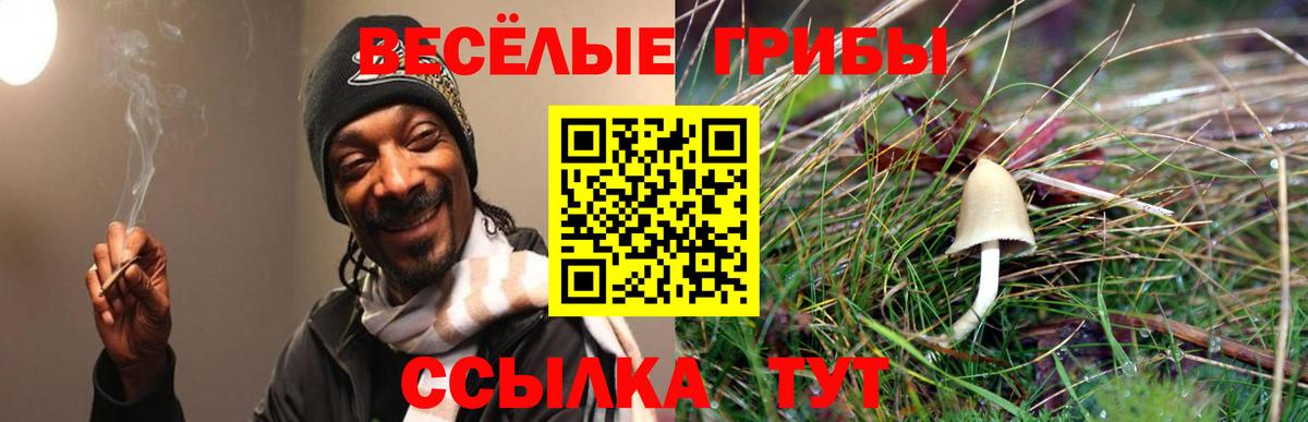Галлюциногенные грибы ЛСД Великий Новгород