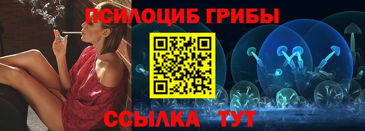 Псилоцибиновые грибы GOLDEN TEACHER Великий Новгород