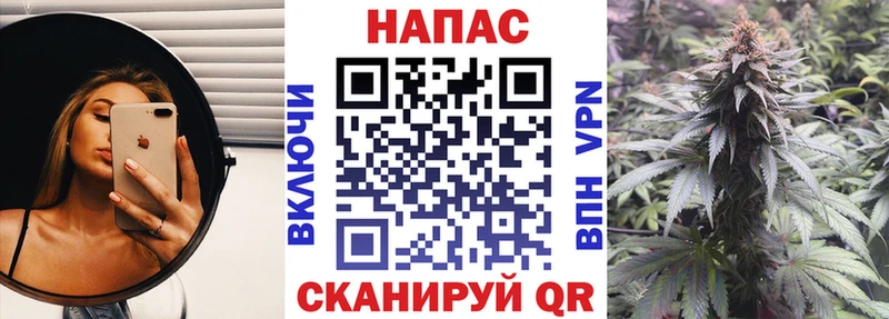Канабис White Widow  продажа наркотиков  Великий Новгород 
