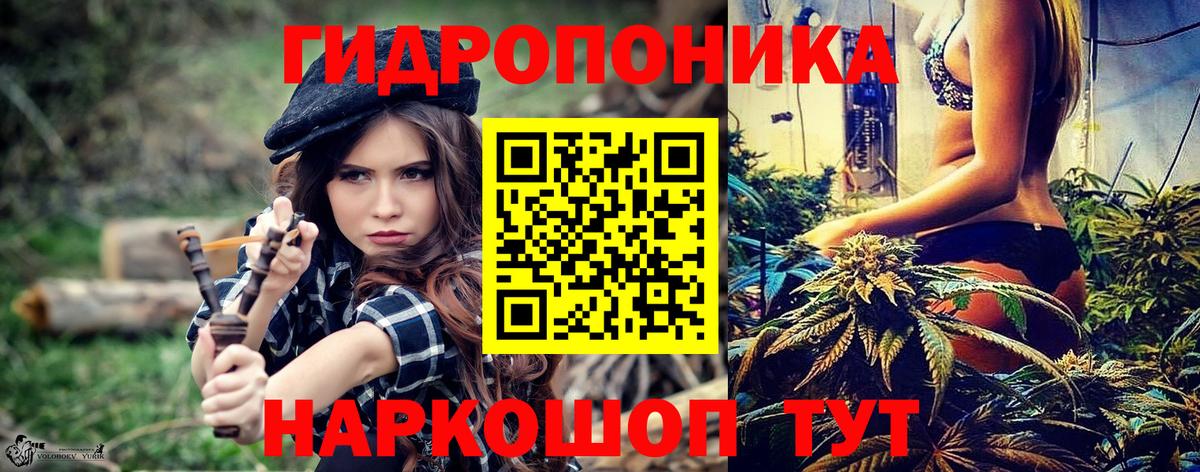Каннабис ГИДРОПОН Великий Новгород